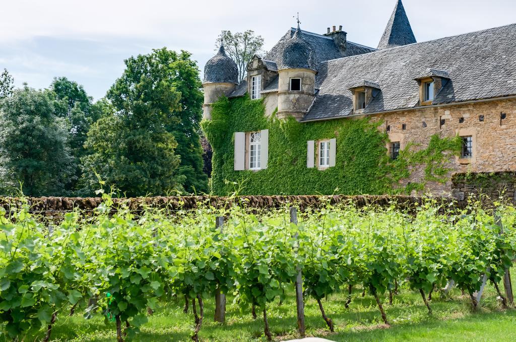 Chateau De Labro - Teritoria Onet-le-Château Екстериор снимка