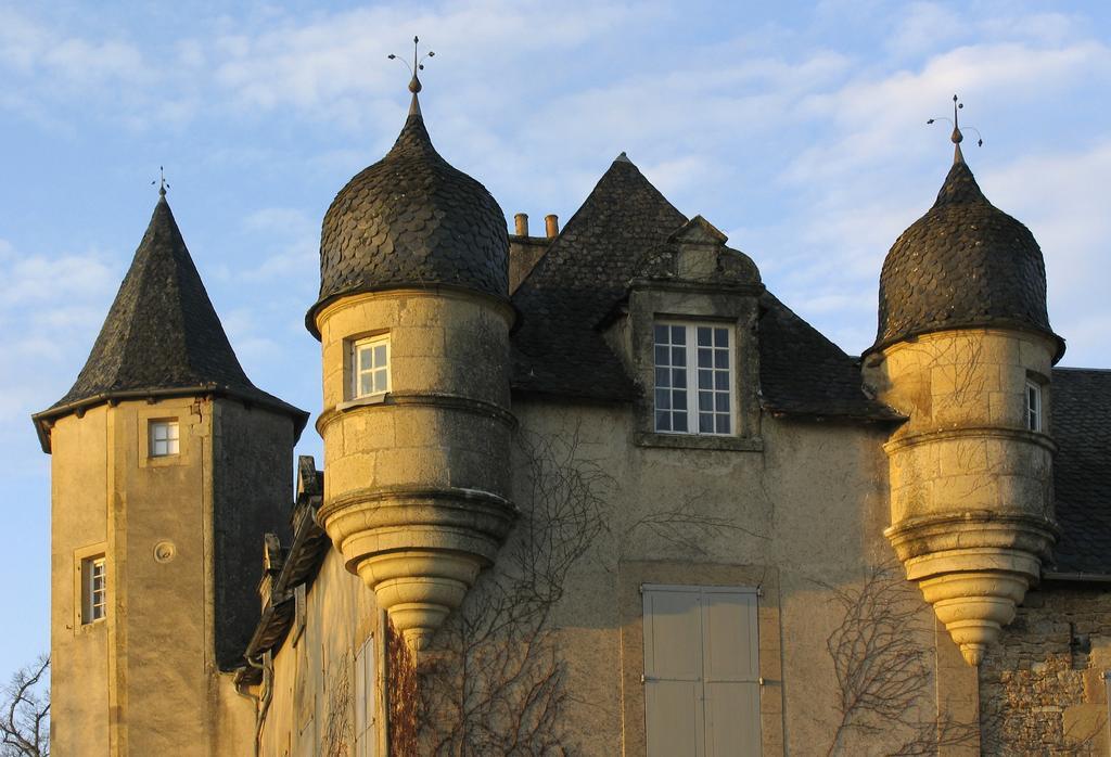 Chateau De Labro - Teritoria Onet-le-Château Екстериор снимка